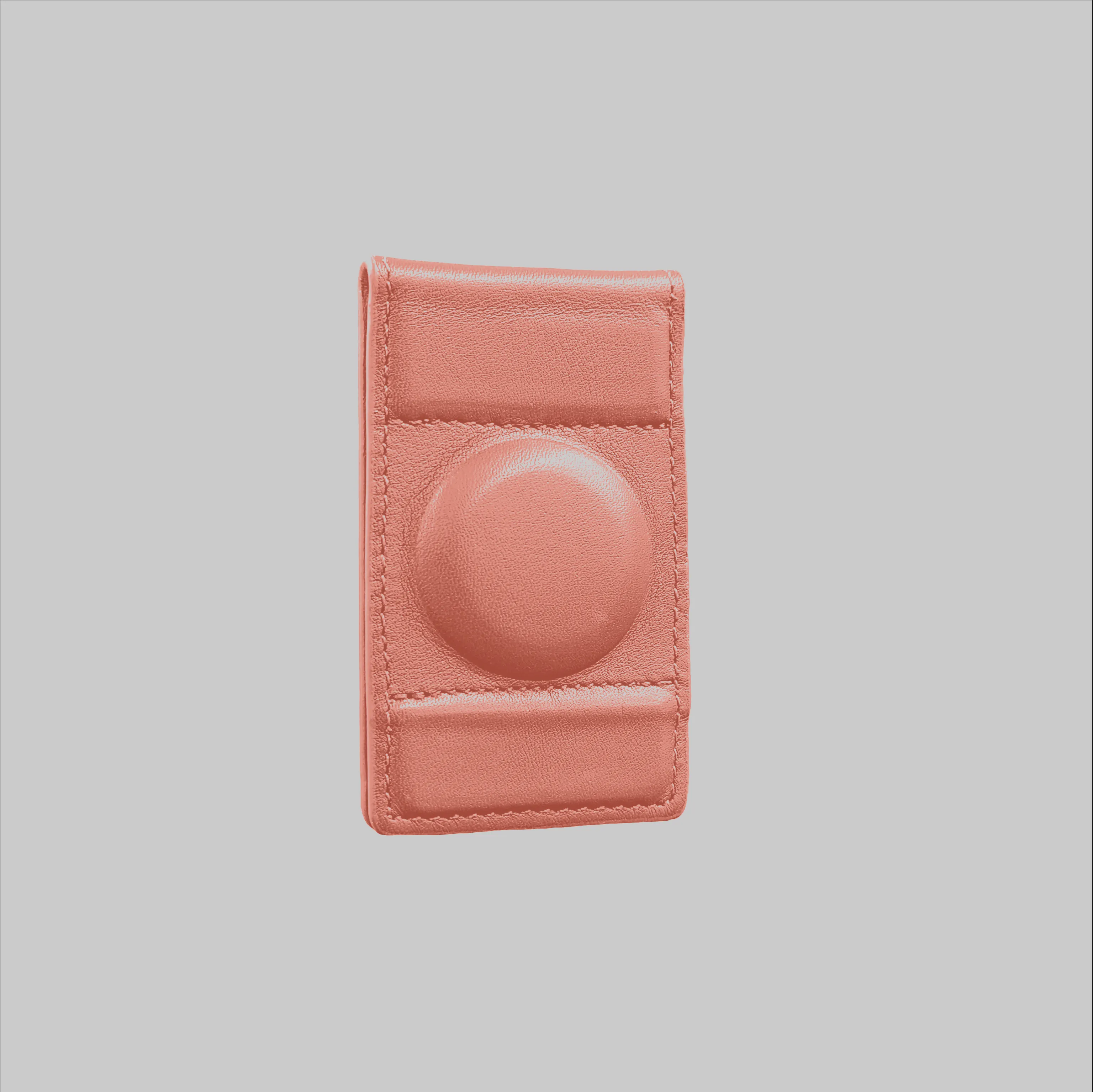2 in 1 AirTag Money Clip by The Frenchie Co