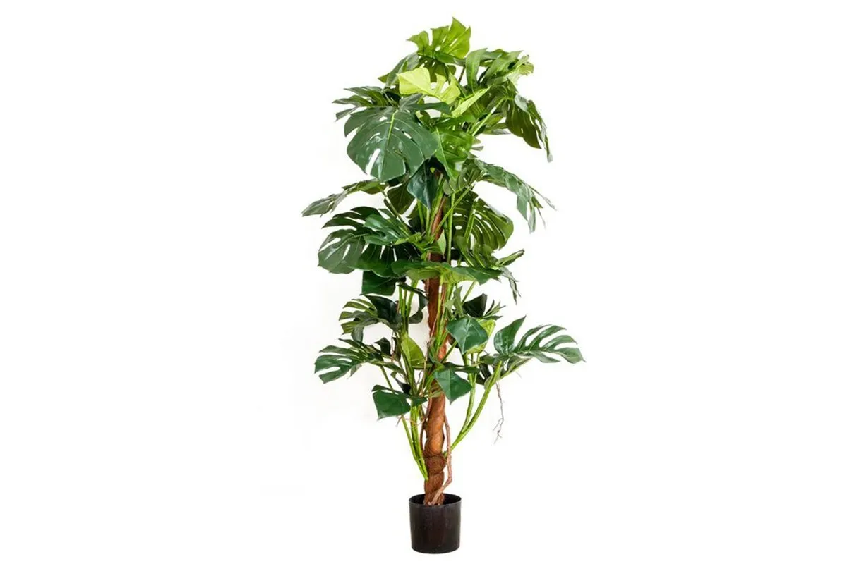 Flora Artificial Split-Leaf Philodendron 1500mm
