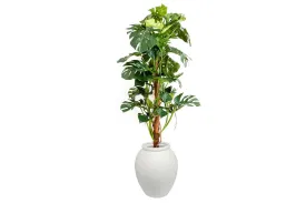 Flora Artificial Split-Leaf Philodendron 1500mm