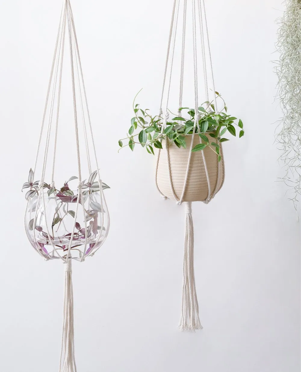 Minimalist Macrame Plant Hanger