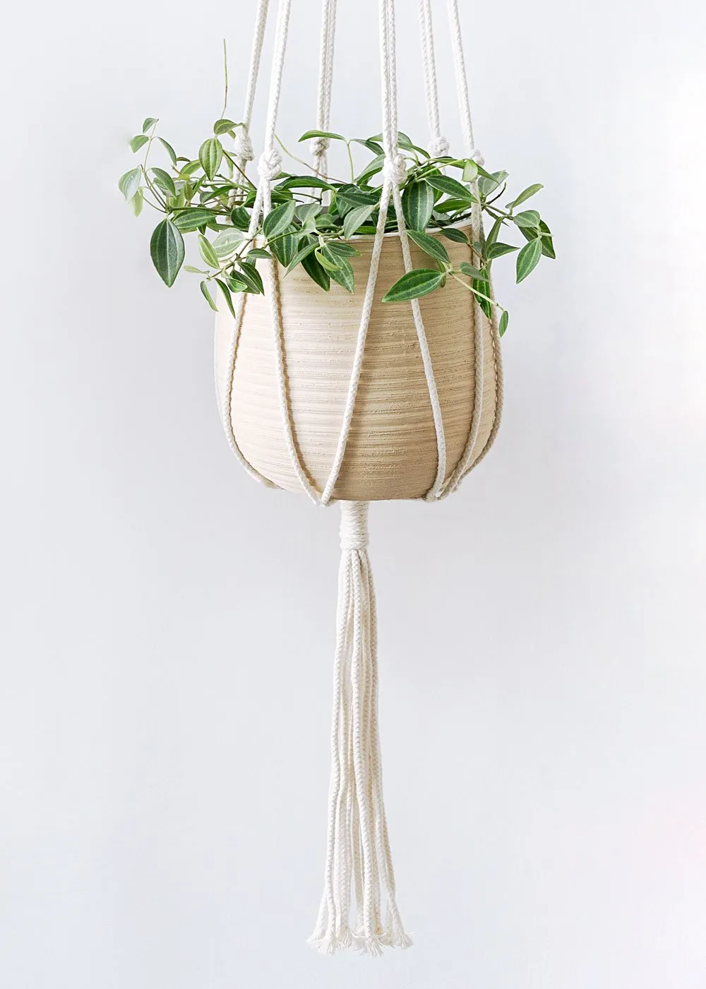 Minimalist Macrame Plant Hanger