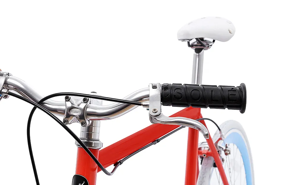 The Single Speed / Fixed Gear