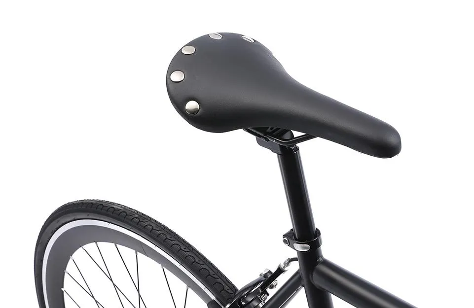 The Single Speed / Fixed Gear