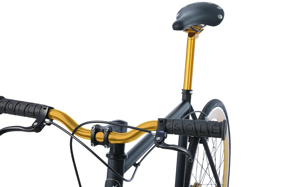 The Single Speed / Fixed Gear