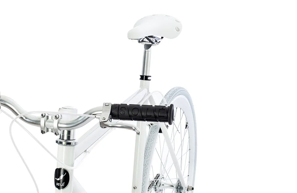 The Single Speed / Fixed Gear