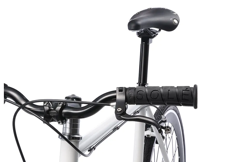 The Single Speed / Fixed Gear