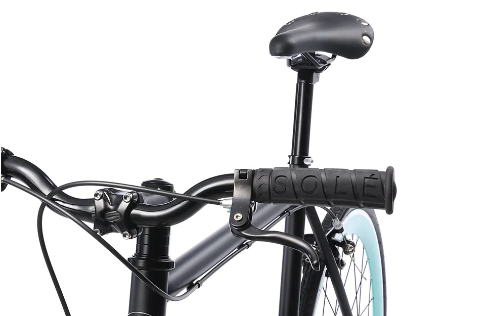 The Single Speed / Fixed Gear