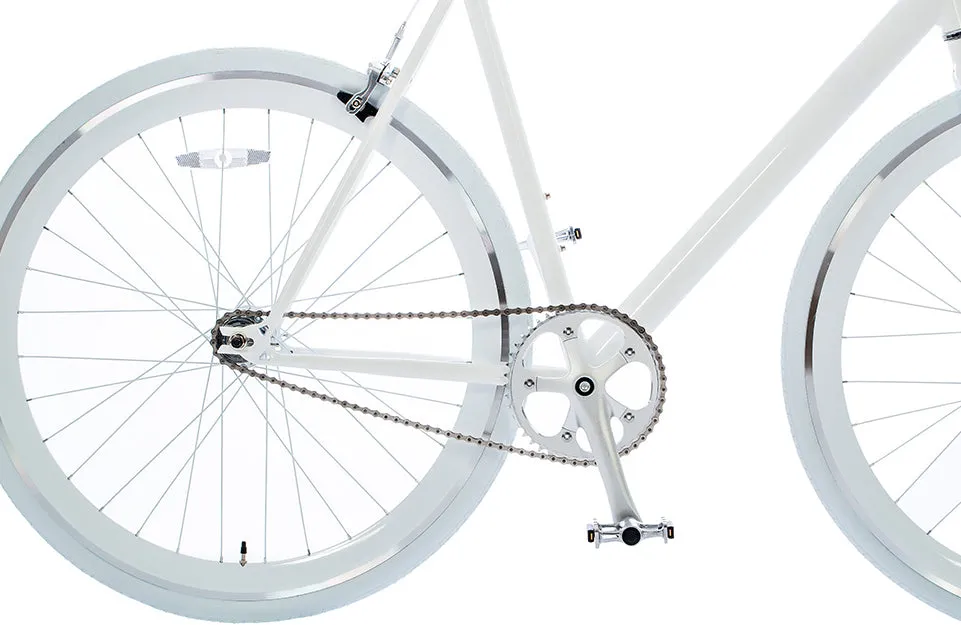The Single Speed / Fixed Gear