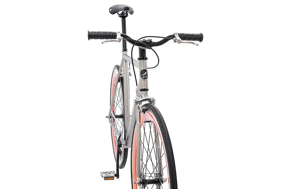 The Single Speed / Fixed Gear