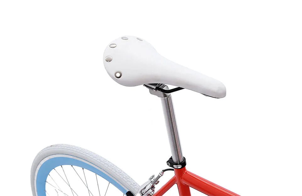The Single Speed / Fixed Gear