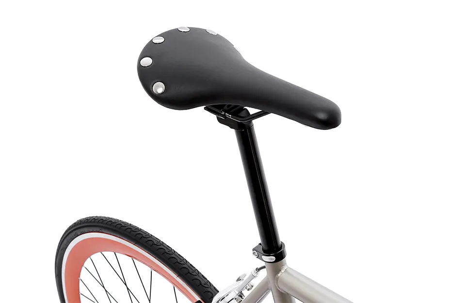 The Single Speed / Fixed Gear