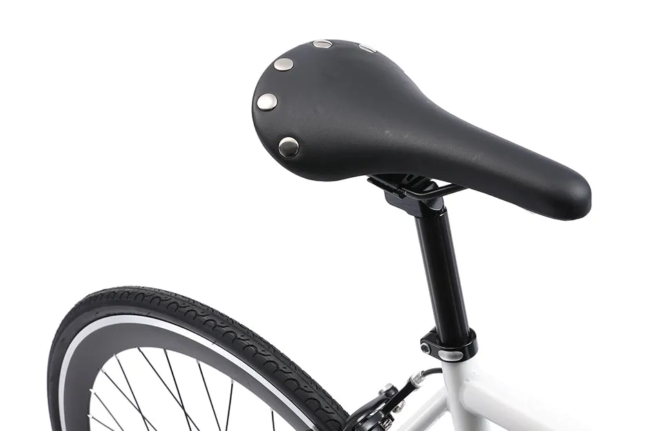 The Single Speed / Fixed Gear