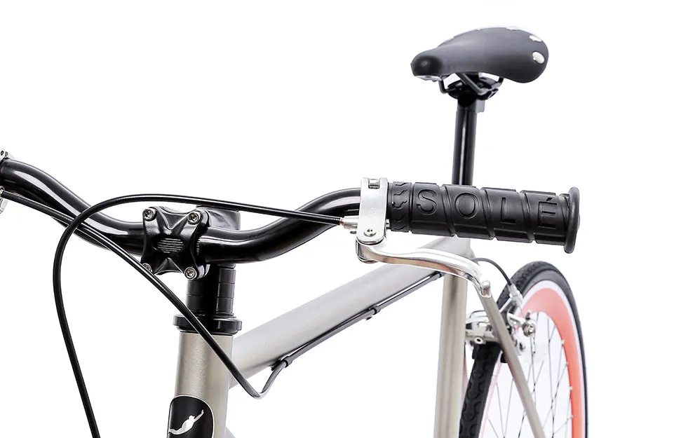 The Single Speed / Fixed Gear
