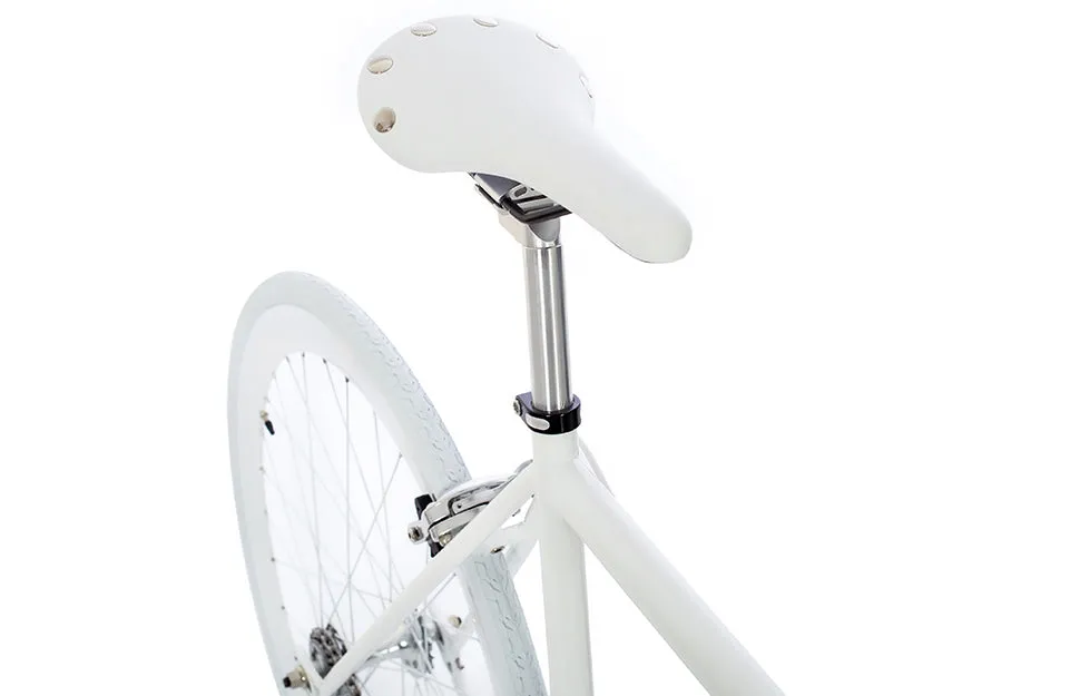 The Single Speed / Fixed Gear