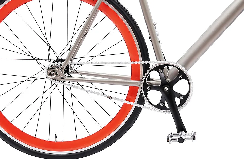 The Single Speed / Fixed Gear