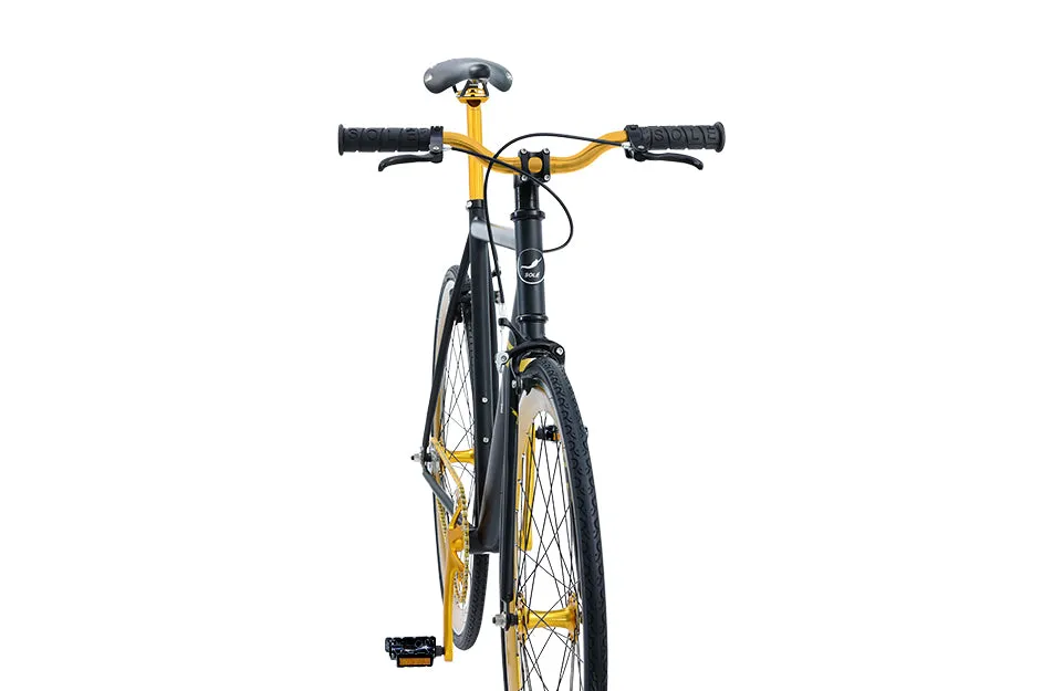 The Single Speed / Fixed Gear