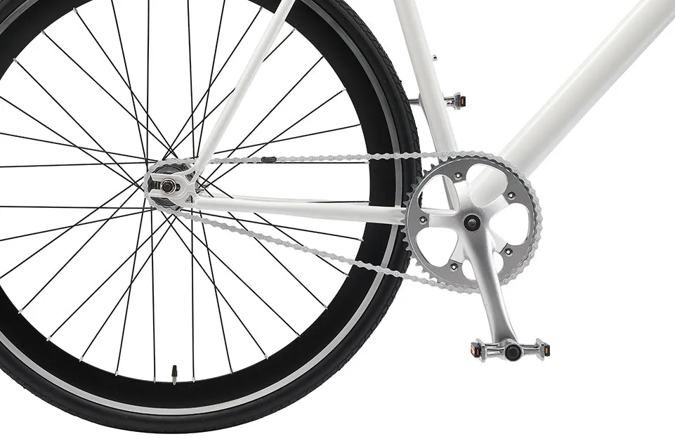 The Single Speed / Fixed Gear