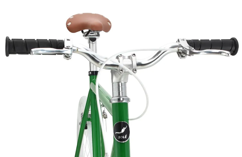 The Single Speed / Fixed Gear