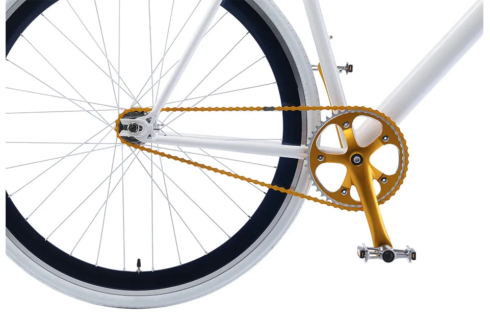 The Single Speed / Fixed Gear