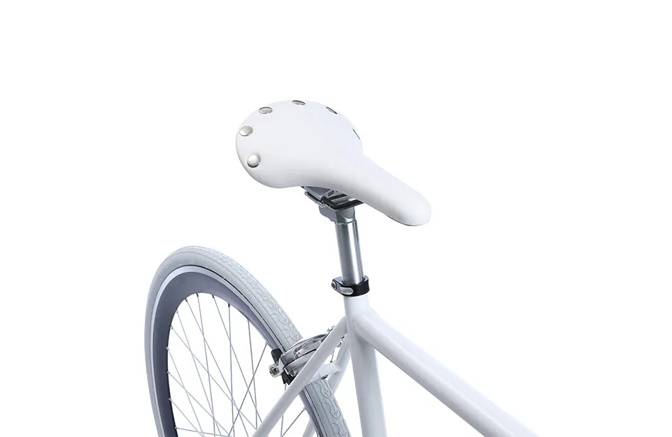 The Single Speed / Fixed Gear