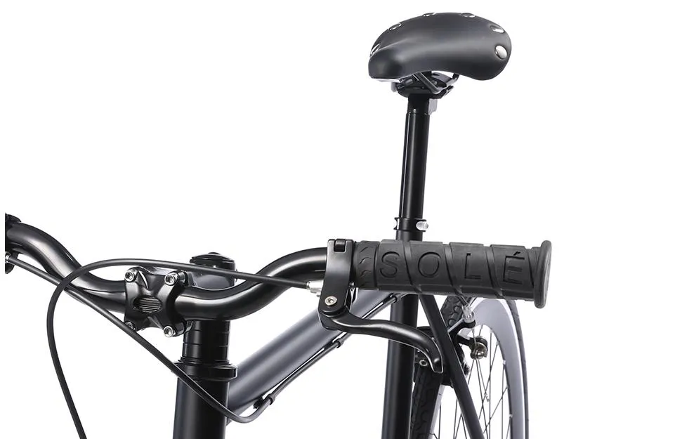 The Single Speed / Fixed Gear