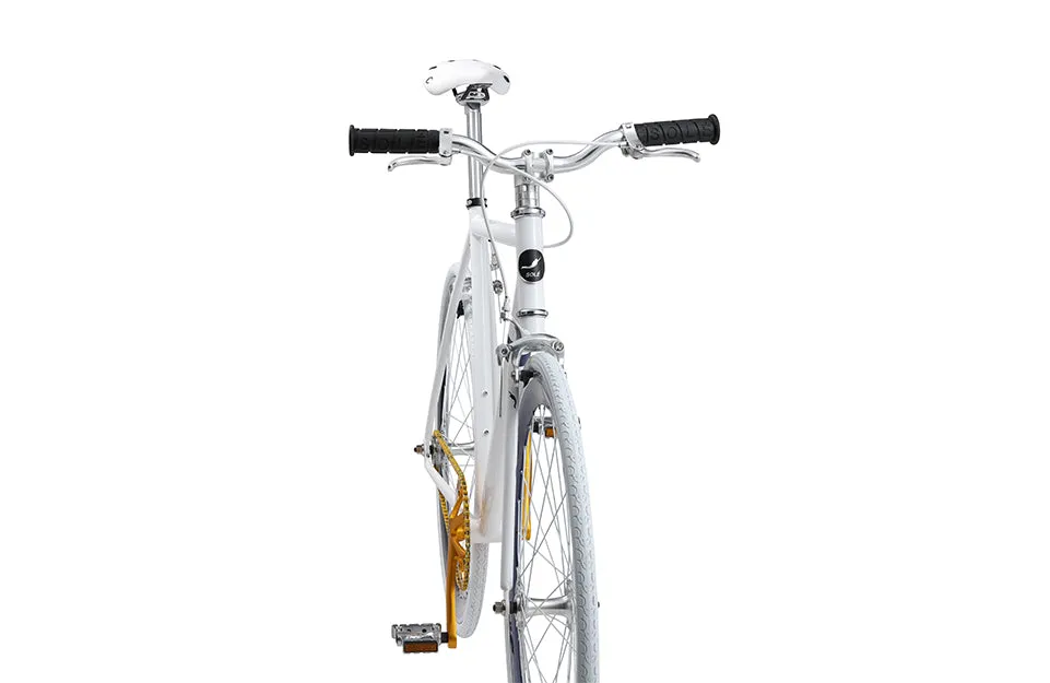 The Single Speed / Fixed Gear