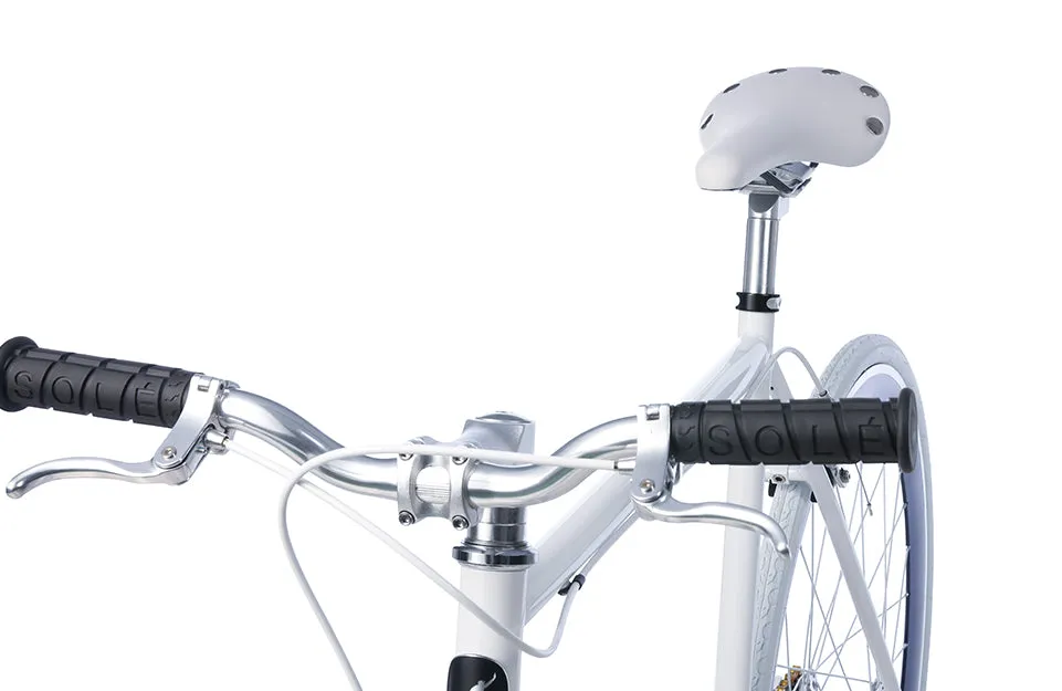The Single Speed / Fixed Gear